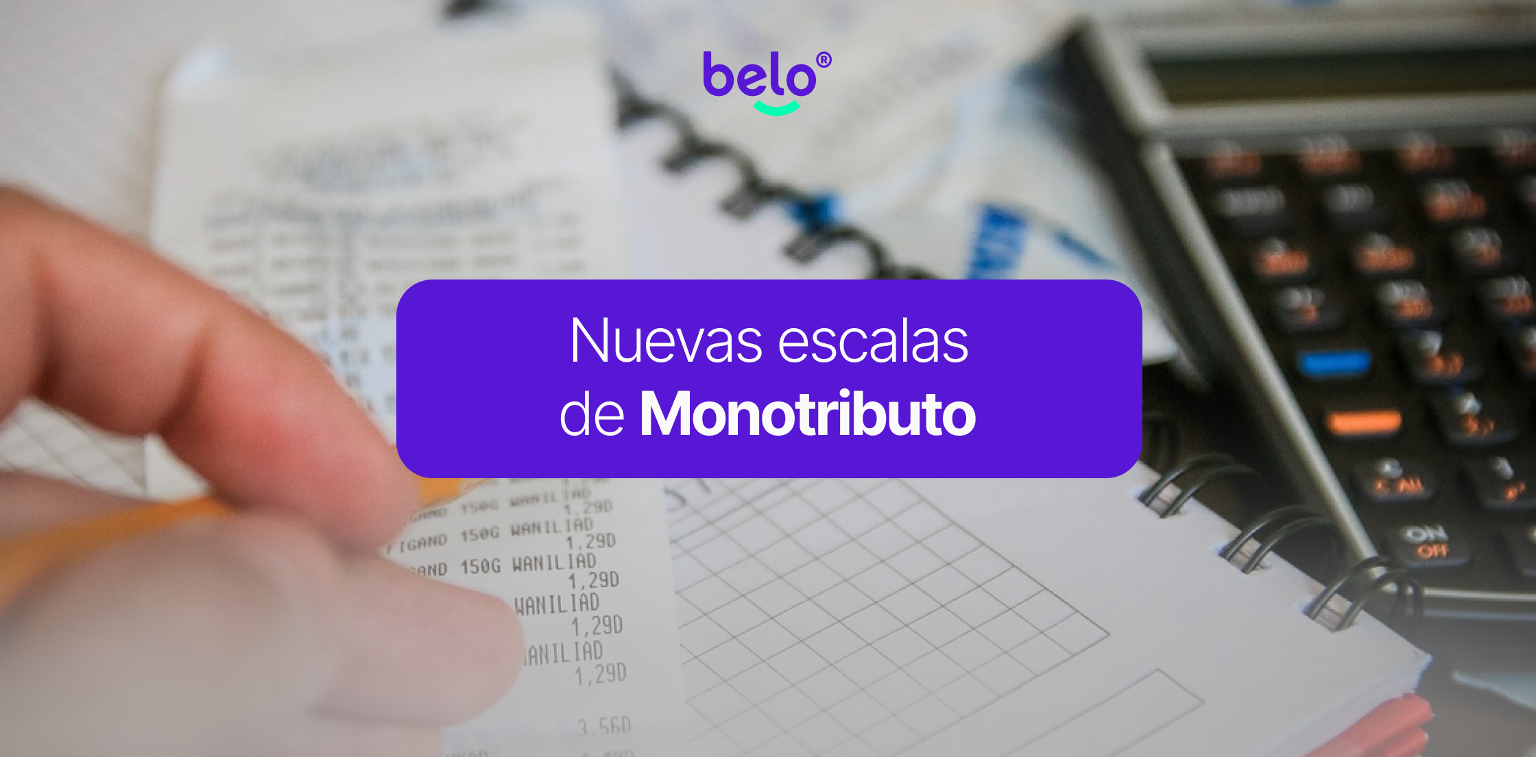 Monotributo 2024: cómo son las nuevas categorías con la Ley Bases