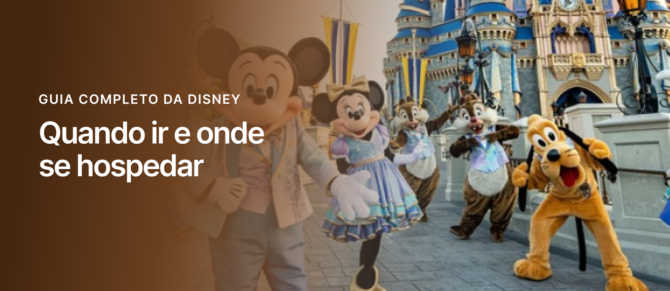 Guia completo da Disney